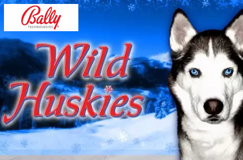 Wild Huskies